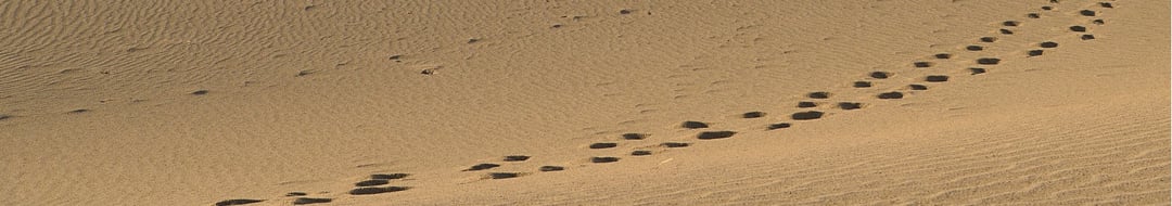 footprints.png
