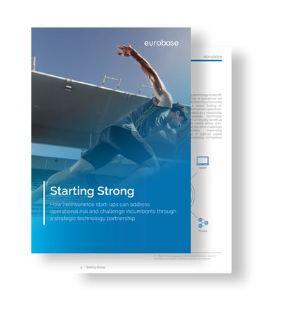 start-up WP (front+inner page image)